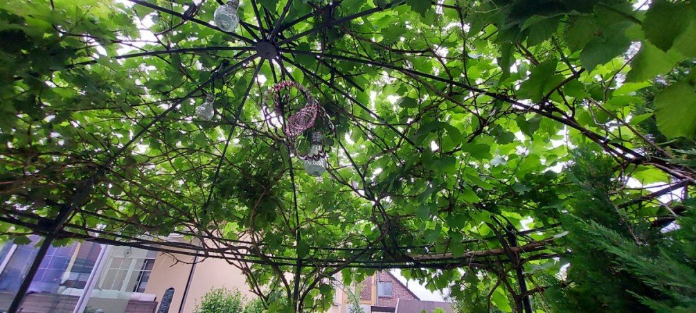 Sommerabende unterm Pavillion Einfamilienhaus Lehre / Gro� Brunsrode