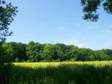Erholung *** Weidegrundst�ck mit knapp 2500m� ***