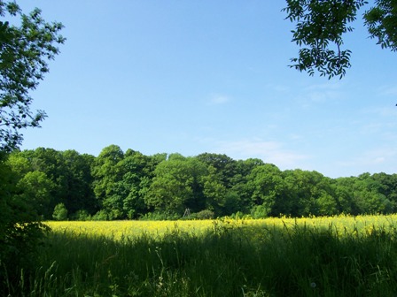 Erholung Freizeitgrundst�ck Ballenstedt