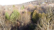 Blick nach Norden Sehr gro�es Grundst�ck im Vorharz - verwirklichen Sie Ihre Ideen !
