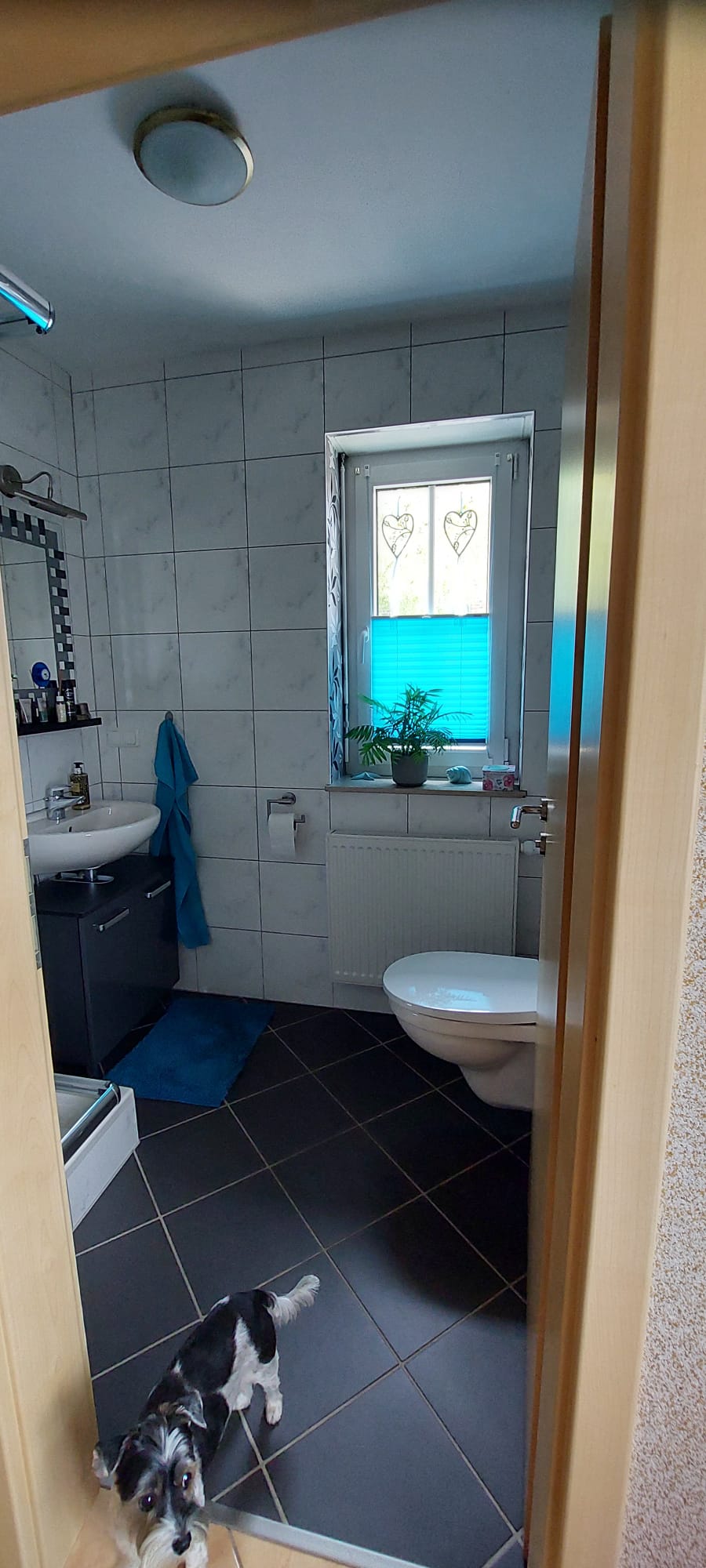 G�ste-WC Einfamilienhaus Lehre / Gro� Brunsrode
