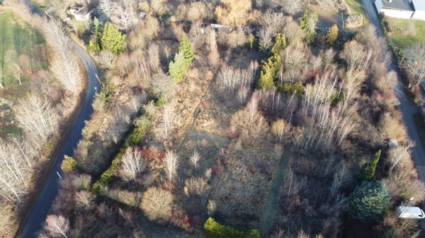 Vogelperspektive Gemischt-Grundst�ck Quedlinburg OT Gernrode