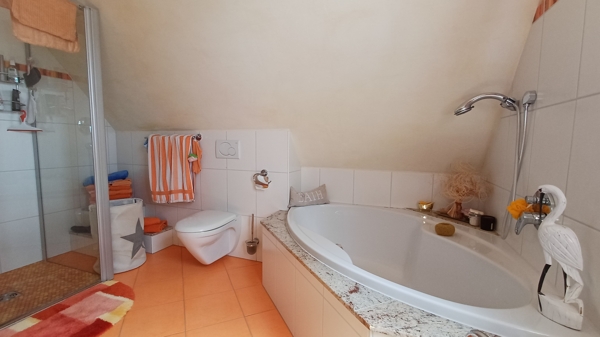 Bad mit Dusche und Wanne Einfamilienhaus Ballenstedt