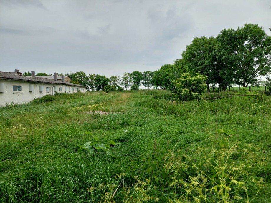 Freifl�che Viehwirtschaft Arnstein OT Arnstedt