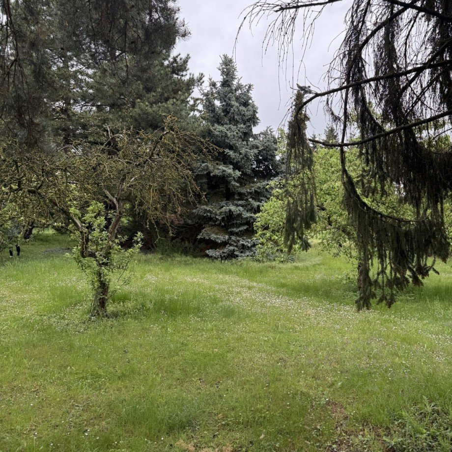 Platz Wohngrundst�ck K�nnern OT Belleben